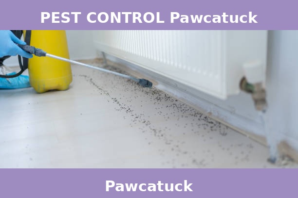 PEST CONTROL Pawcatuck